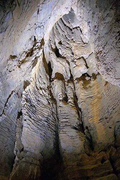 File:Lit up tomo in Ruakuri Cave.jpg