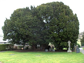 Llangernyw village and community in Conwy County Borough, Wales