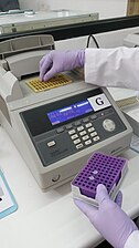 Loading PCR mixture to thermocycler machine.jpg