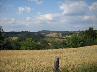 <span class="mw-page-title-main">Ločevci</span> Village in Moravica District, Serbia