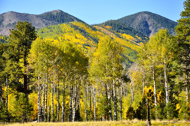 File:Lockett Meadow Sept 25, 2012 (8033732460).jpg