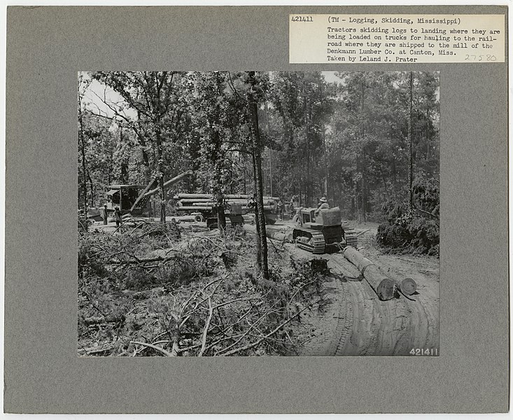 File:Logging- Skidding with Tractors - Mississippi - DPLA - e482c6889a5e0e28ff91a7efb330272f.jpg