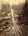 Logging operation showing a log chute, Washington, ca 1889 (BOYD+BRAAS 70).jpg