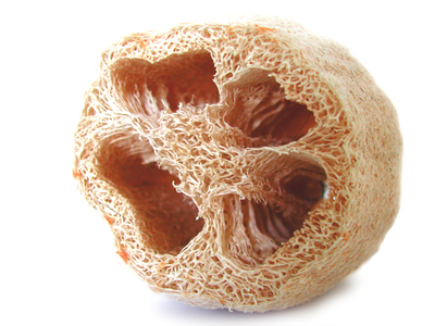 A luffa sponge whose coarse texture helps with skin polishing.