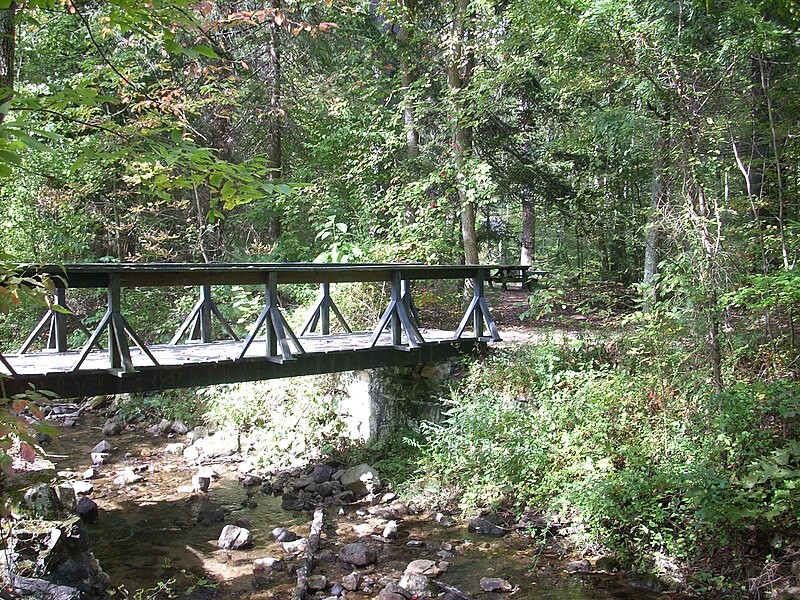 File:MASP bridge over creek.JPG