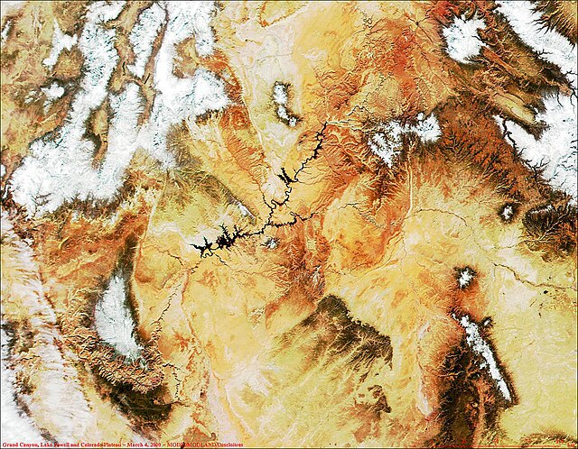 MODIS satellite image of Grand Canyon (lower left), Lake Powell (black, left of center) and the Colorado Plateau. White areas are snow-capped.