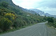 Parque Natural Sierra de las Nieves