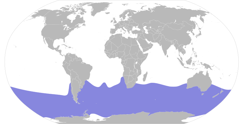 File:Macronectes giganteus map.svg