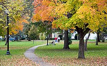 Tirrill Park in Manchester Manchester Iowa Tirrill Park.jpg