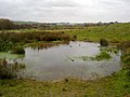 Marsh and bog in Milnrow - geograph.org.uk - 2302054.jpg