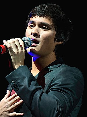 Matteo Guidicelli at the KC Concepcion US Concert, November 2010.jpg