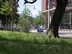 May 2005 Freiburg 80.jpg