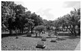 Miami City Cemetery (41).jpg