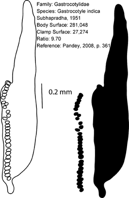 Gastrocotyle indica