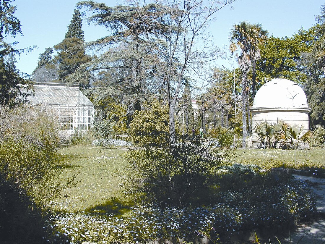 File:Montpellier jardin plantes2.jpg