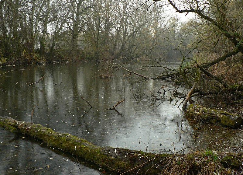 File:Mrtvé rameno Uhu - panoramio.jpg