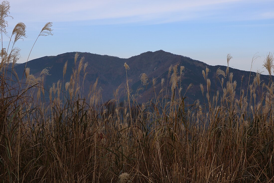 後山