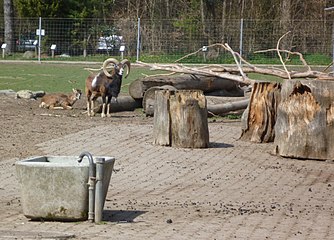 Bruderhaus wildlife park