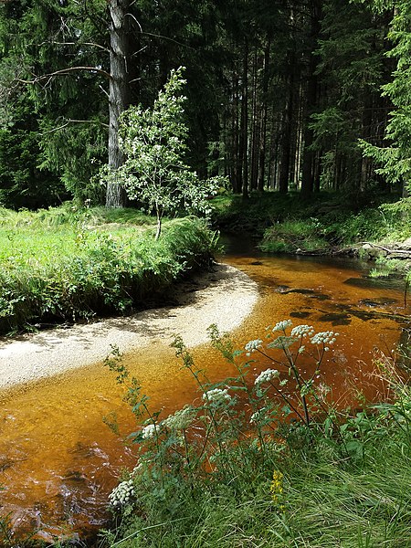 File:NÖ-Naturdenkmal ZT-176 Großer Kamp, Abschnitt zwischen der Landesgrenze zu Oberösterreich und der Brücke L7315 sl2.jpg