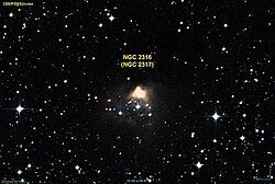 NGC 2316