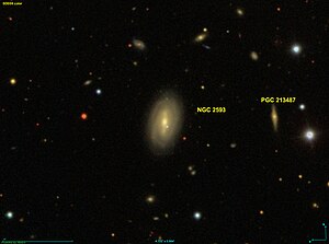 NGC 2593 SDSS.jpg