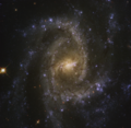 Thumbnail for NGC 2835