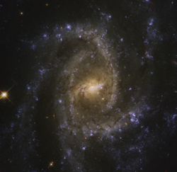 NGC 2835.png