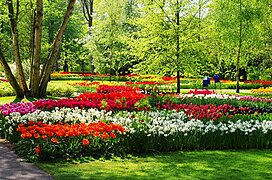 NL-keukenhof-19.jpg