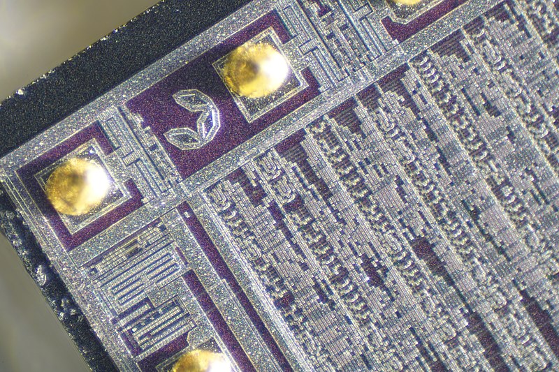 File:NXP PCF8574 Closeup (49881795292).jpg