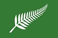 Silver Fern (Green) by Roger Clarke