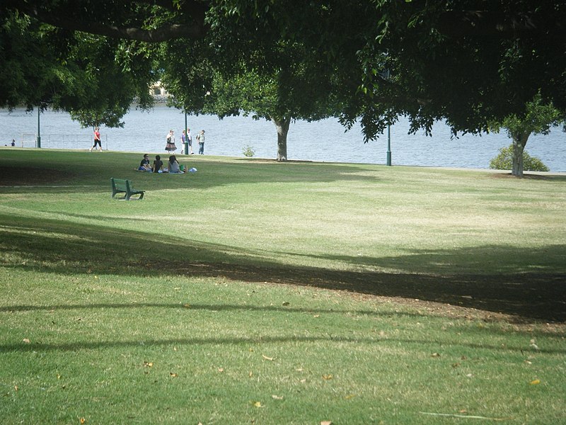 File:New Farm Park - panoramio.jpg