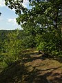 Čeština: Vyhlídka Pod Čerchovem umístěná na skalním ostrohu nad řekou Berounkou v CHKO Křivoklátsko nápověda English: Pod Čerchovem rock and lookout place located near Nižbor in Křivoklátsko protected landscape are, Central Bohemian region, CZ help