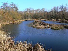 nisqually national wildlife refuge