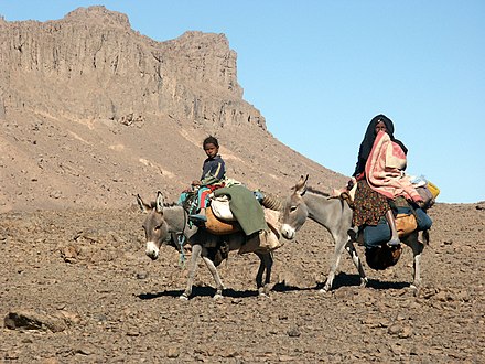 Tuareg people - Wikipedia