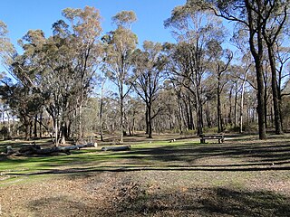 <span class="mw-page-title-main">Greater Bendigo National Park</span> Protected area in Victoria, Australia