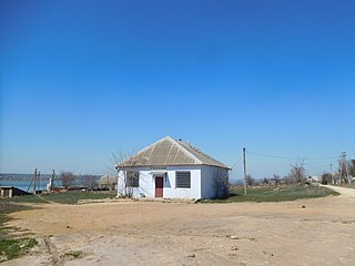 <span class="mw-page-title-main">Nova Emetivka</span> Rural locality in Odesa Oblast, Ukraine