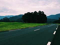 Entrée de la forêt de Nyungwe.