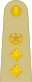 OF-5 Пакистан Army.svg