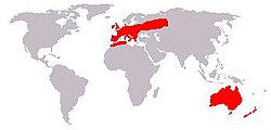 Oryctolagus cuniculus geographical distribution.jpeg