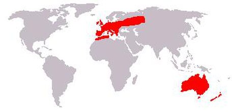 File:Oryctolagus cuniculus geographical distribution.jpeg