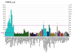 PBB GE DUSP12 218576 s bei fs.png