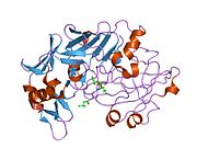 PDB 1qrp EBI.jpg