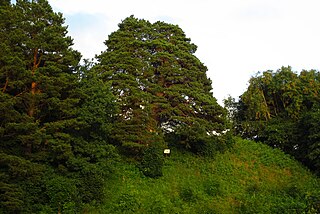 Padaorg Landscape Conservation Area Protected area in Estonia