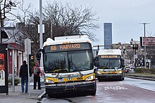 A bunched pair of route 66 buses in Allston Pair of bunched MBTA 66 buses in Allston.jpg