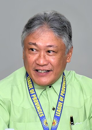 <span class="mw-page-title-main">Governor of Palawan</span> Local chief executive