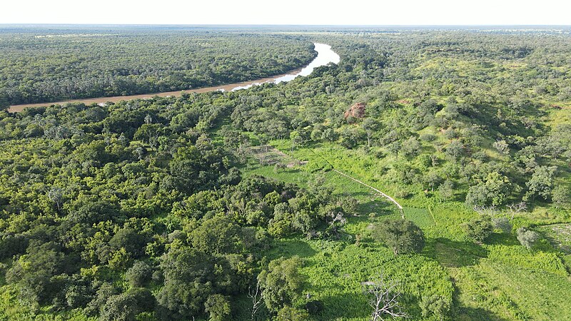 File:Parc Niokoloba vue sur le fleuve Gambie.jpg