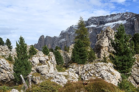 Città dei Sassi Sella Pass South Tyrol