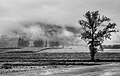 * Nomination Foggy landscape near Peñacerrada, Álava, Basque Country, Spain --Basotxerri 09:35, 3 December 2017 (UTC) * Promotion Good quality. It´s digital b/w, not analog, but that´s not a critic--Hans-Jürgen Neubert 09:41, 3 December 2017 (UTC)