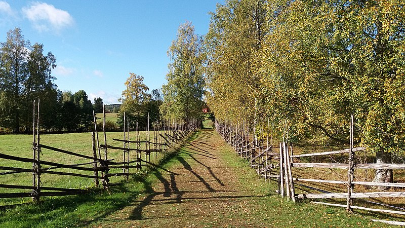 File:Petäjävesi Old Church yard.jpg