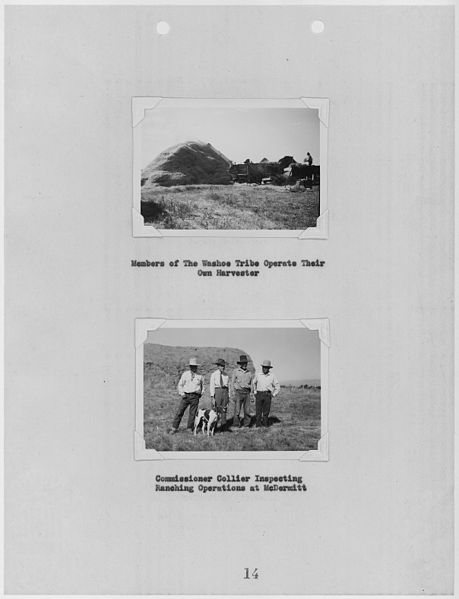 File:Photographs, with captions, of Washoe Tribe harvester in operation and ranching inspection at Fort McDermitt, Nevada... - NARA - 296180.jpg